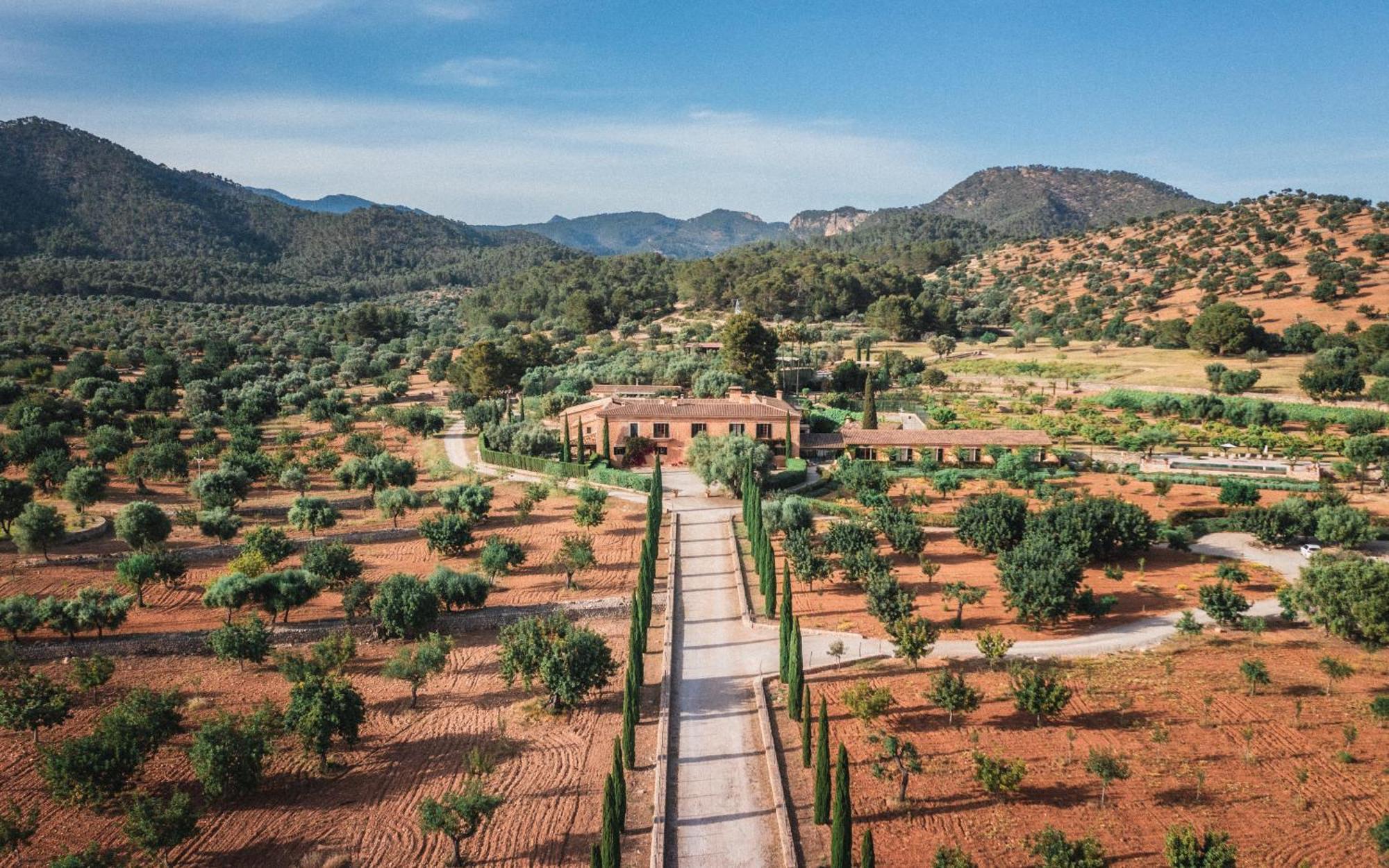 Finca Es Cabas Santa Maria del Cami  Eksteriør billede