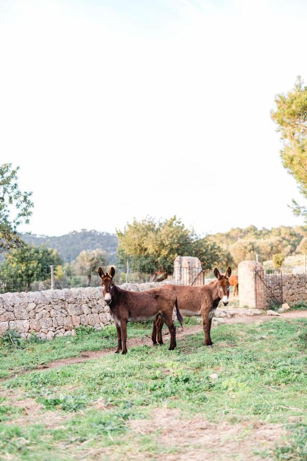 Finca Es Cabas Santa Maria del Cami  Eksteriør billede