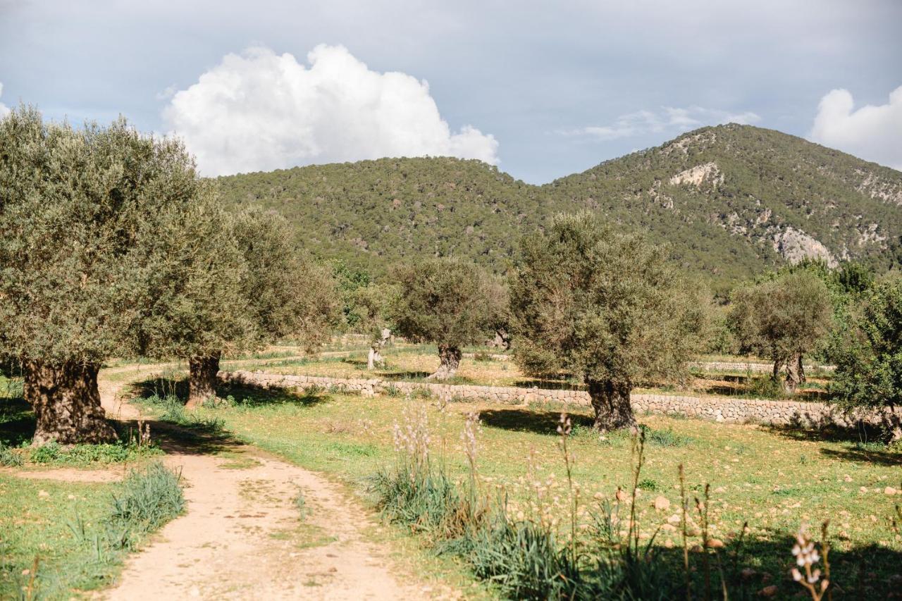 Finca Es Cabas Santa Maria del Cami  Eksteriør billede